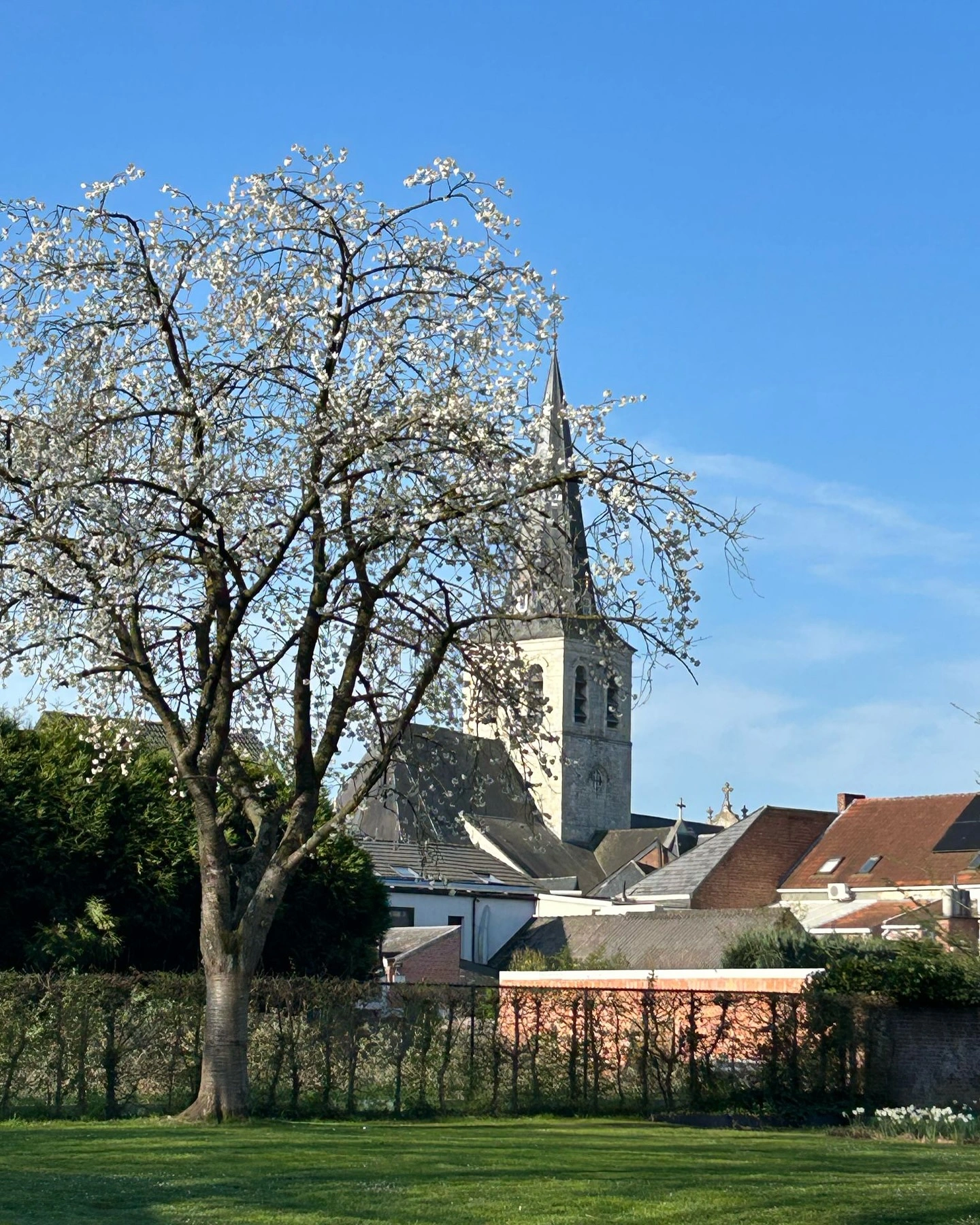 Lebbeke 3